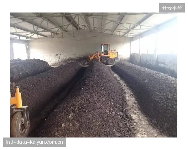 实验室中跑出的完美数据，在面对中国南方湿热气候或北方冬季严寒时迅速失效，拷问着品牌的本土化研发诚意